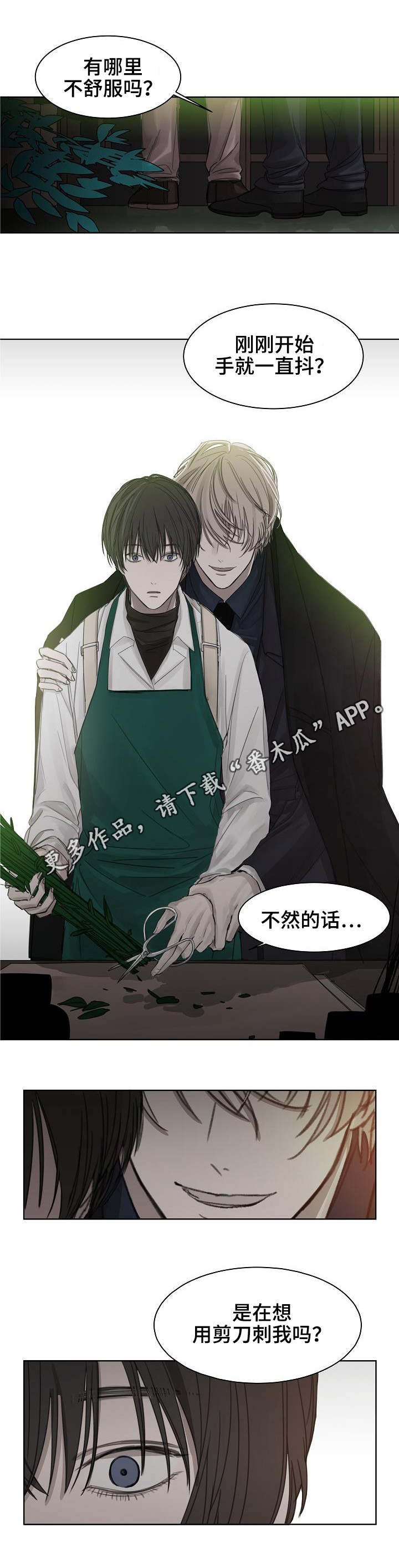第6章：选花