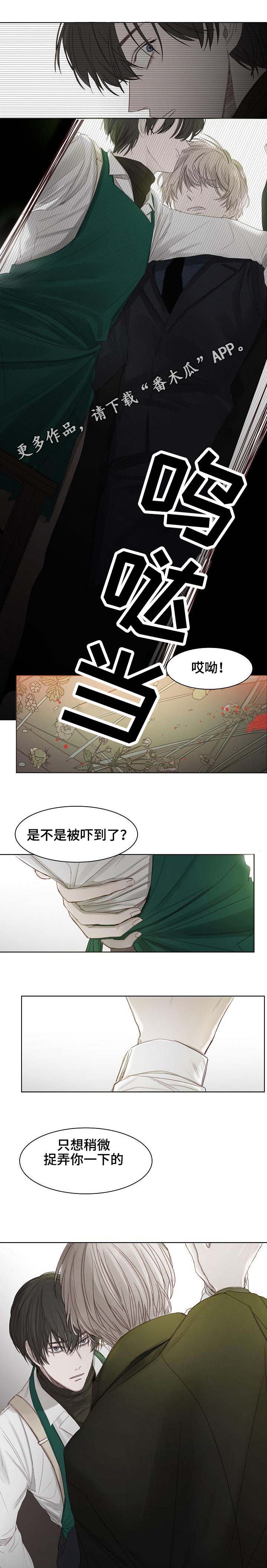 第6章：选花