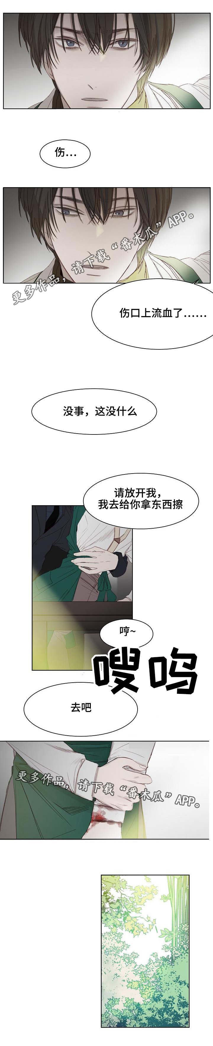 第6章：选花