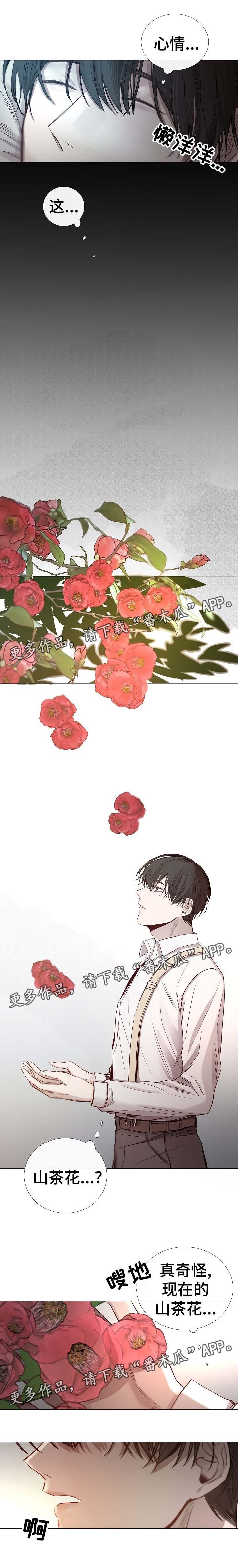 第63章：集中注意力