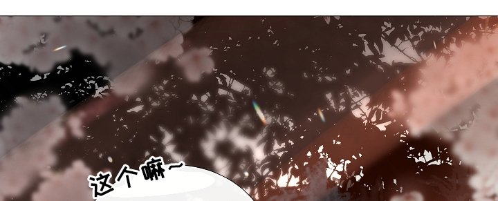 第67章：探访