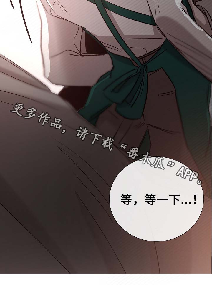 第80章：分享