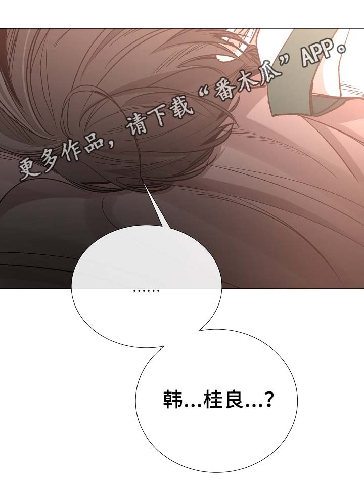 第81章：气氛正好