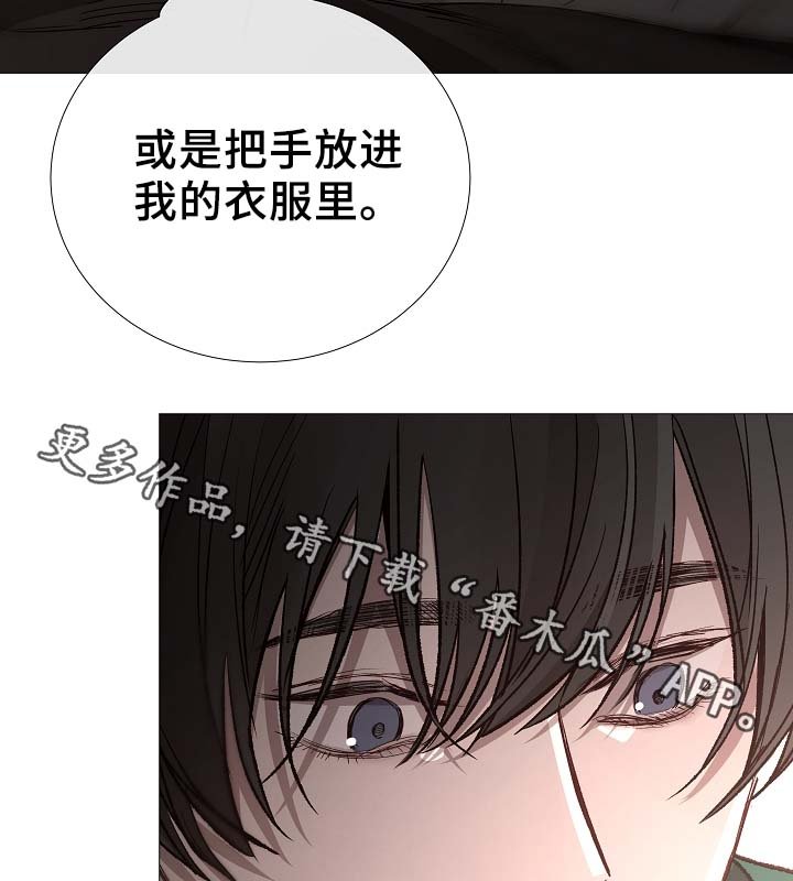 第81章：气氛正好