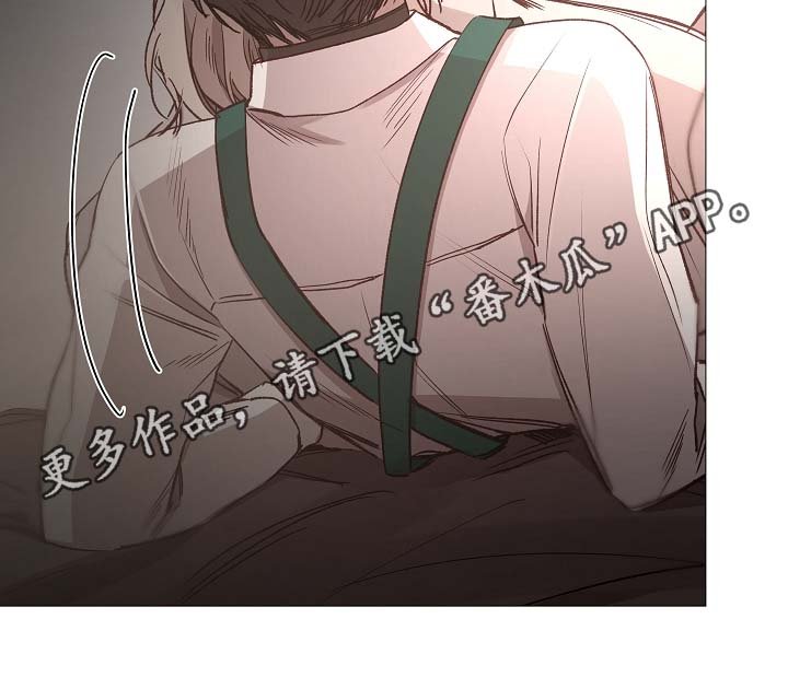 第81章：气氛正好