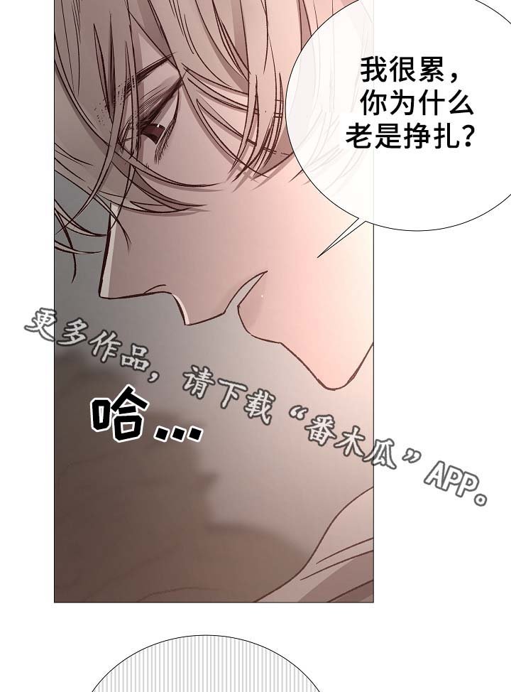 第81章：气氛正好