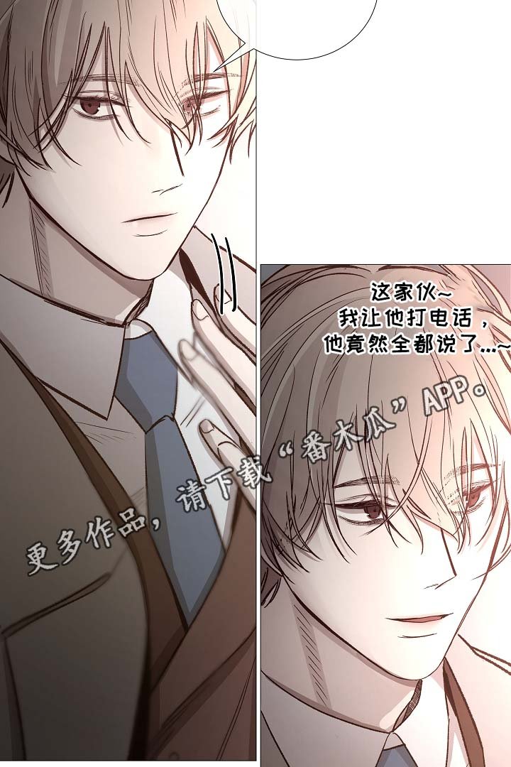 第81章：气氛正好