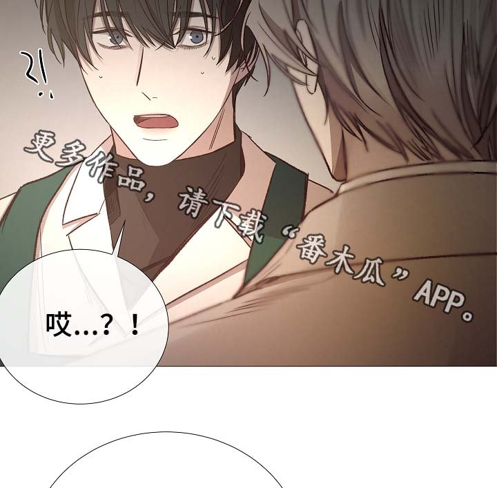 第81章：气氛正好