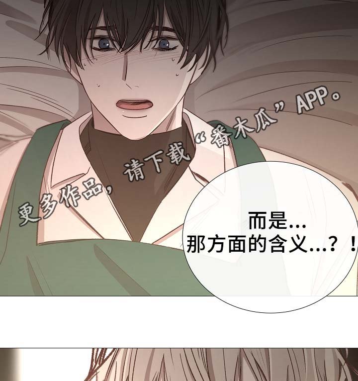第82章：真的没事吗