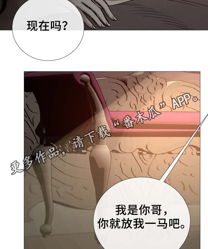 第84章：再摸一次头
