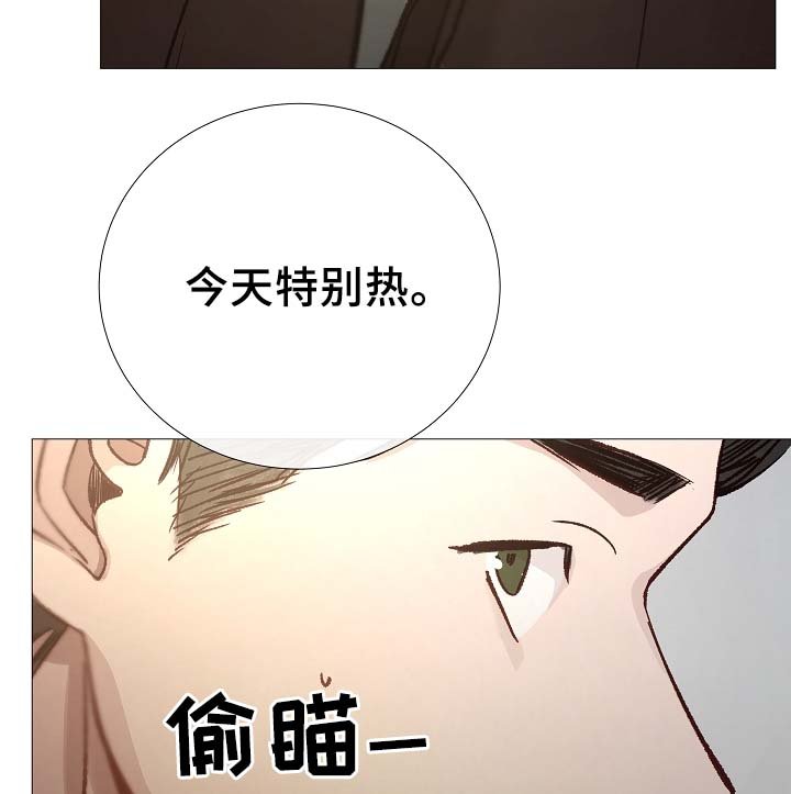 第87章：简直糟糕透了