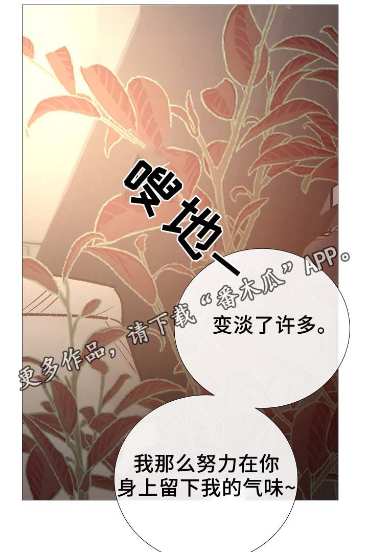 第87章：简直糟糕透了