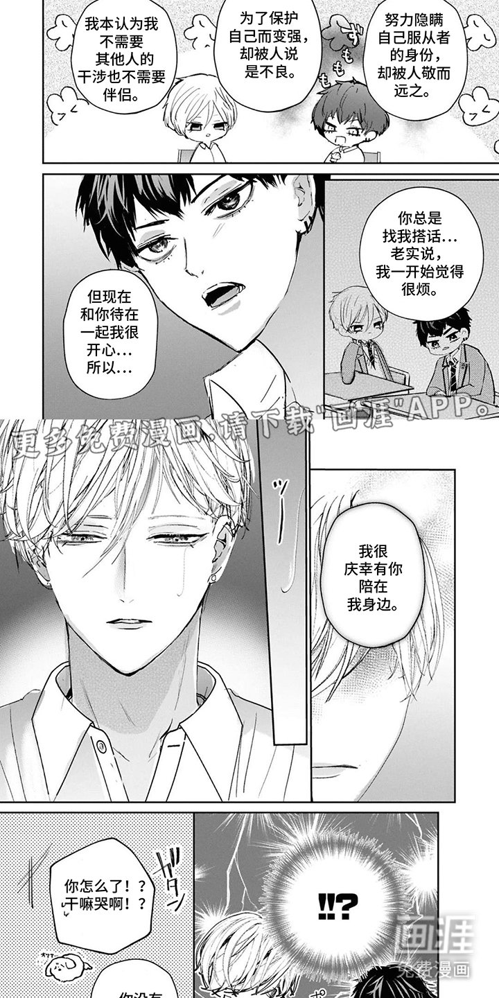 第12章：不要勉强