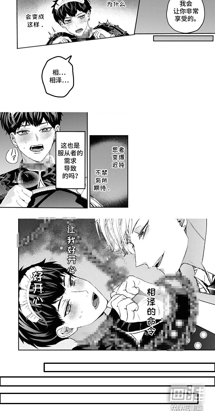 第5章：我的责任