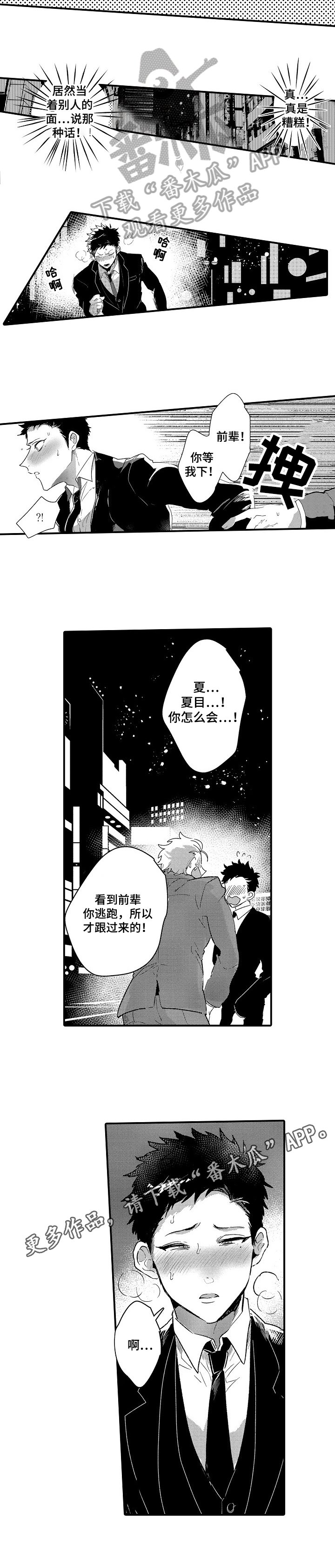 第16章：公布