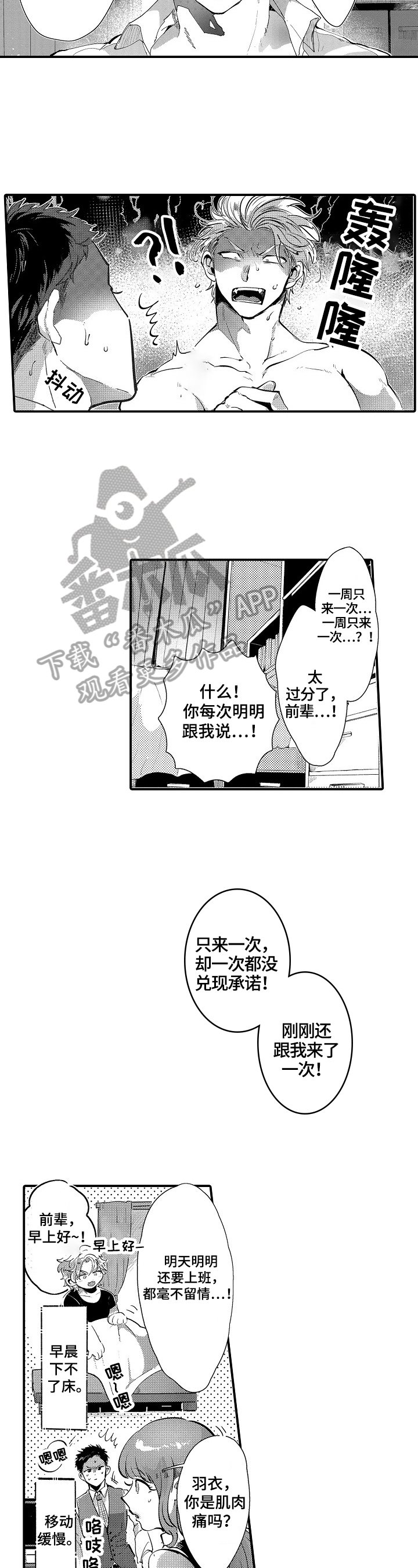 第5章：约定