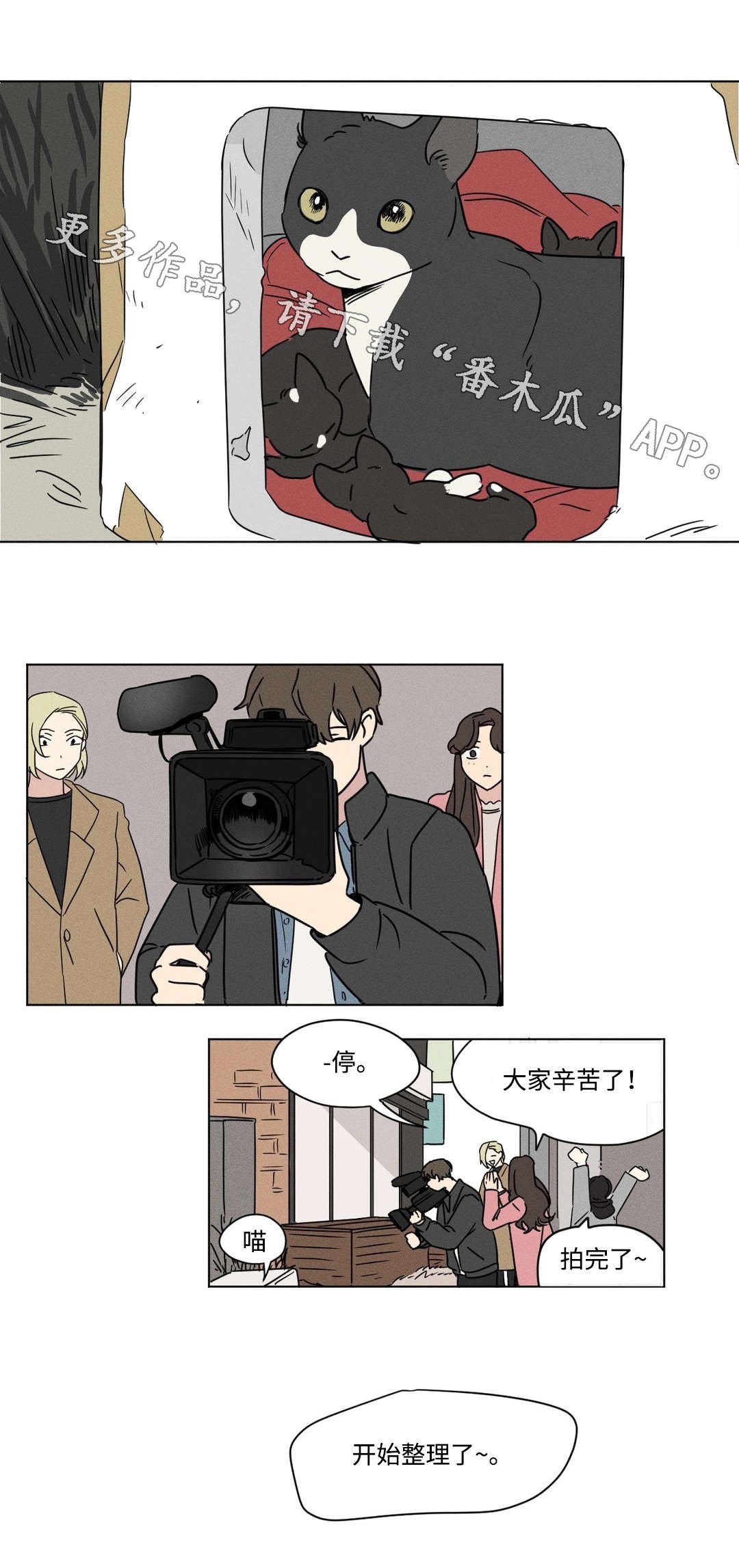 第34章：愿望