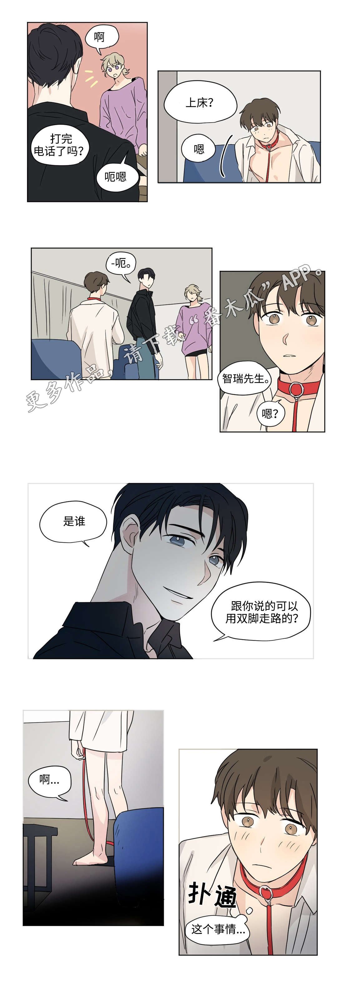 第47章：表白