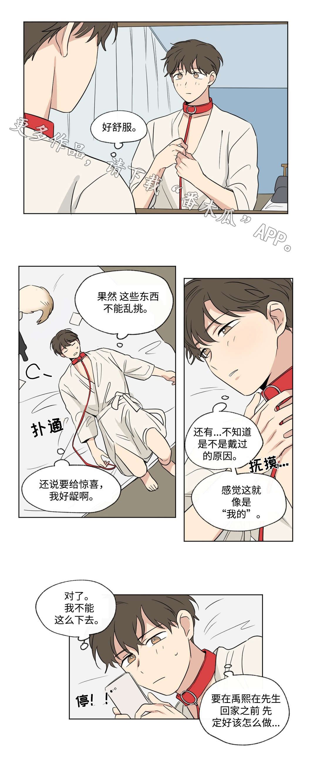 第86章：惊喜