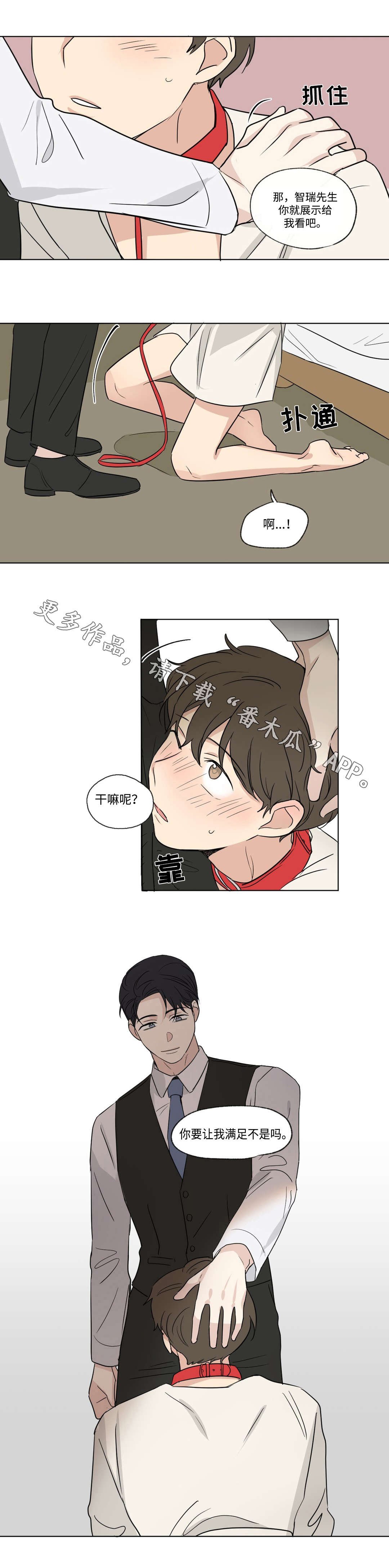 第86章：惊喜