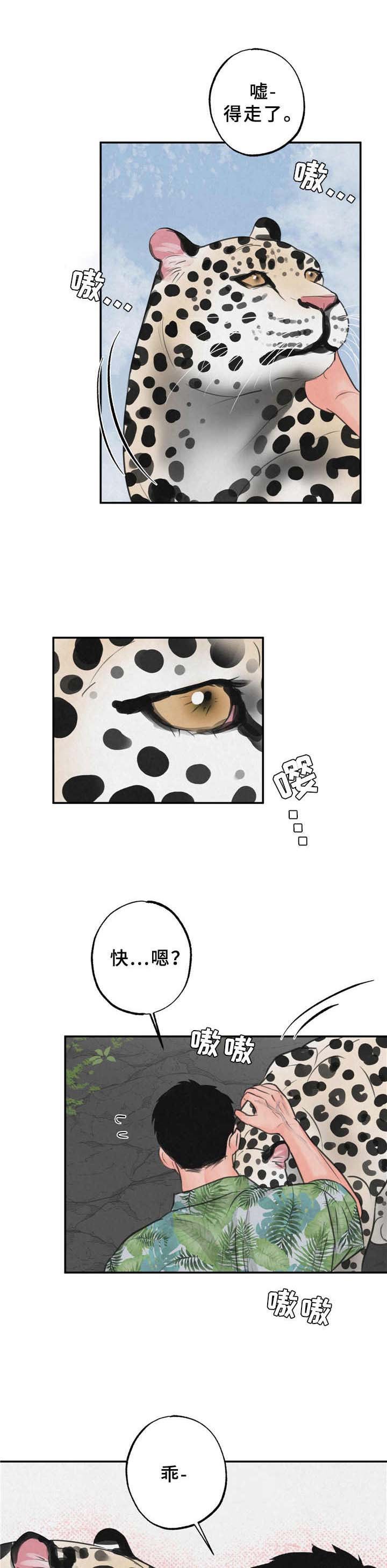 第10章：喜欢上了