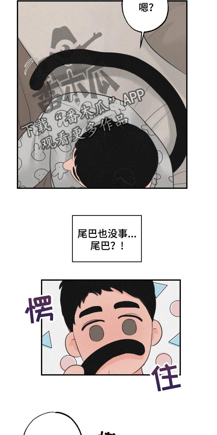 第15章：【第二季】天使
