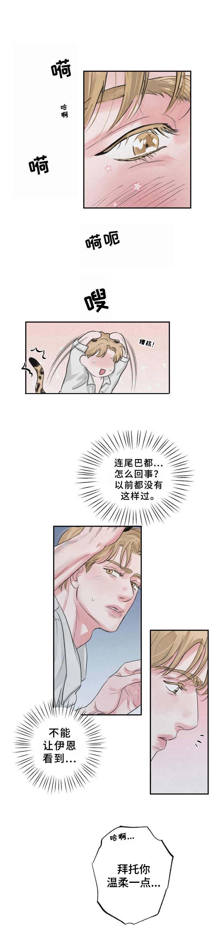 第6章： 心情变好