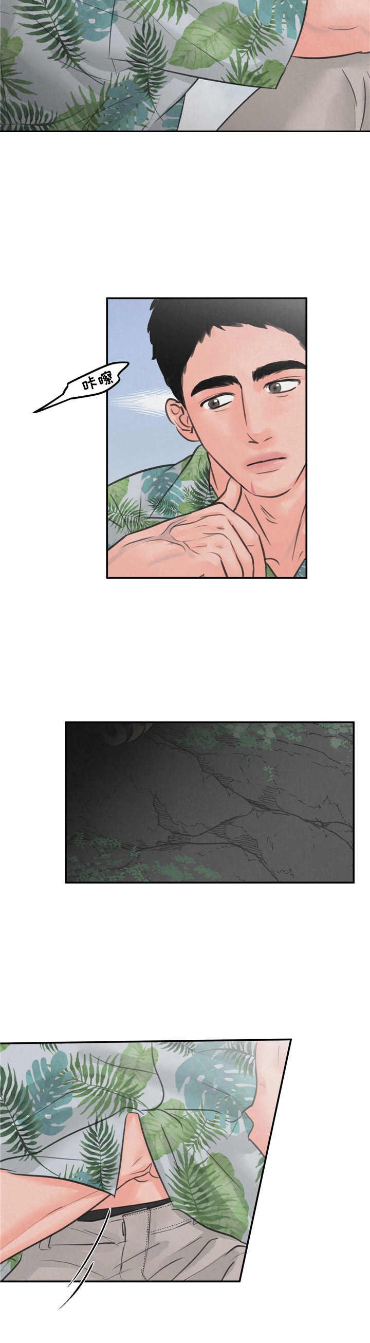 第8章：花豹