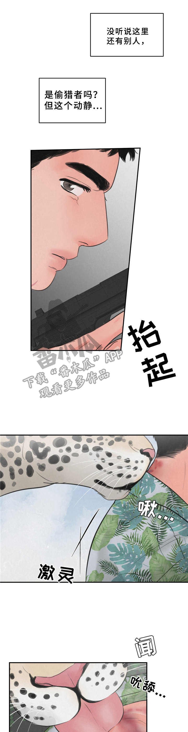 第8章：花豹