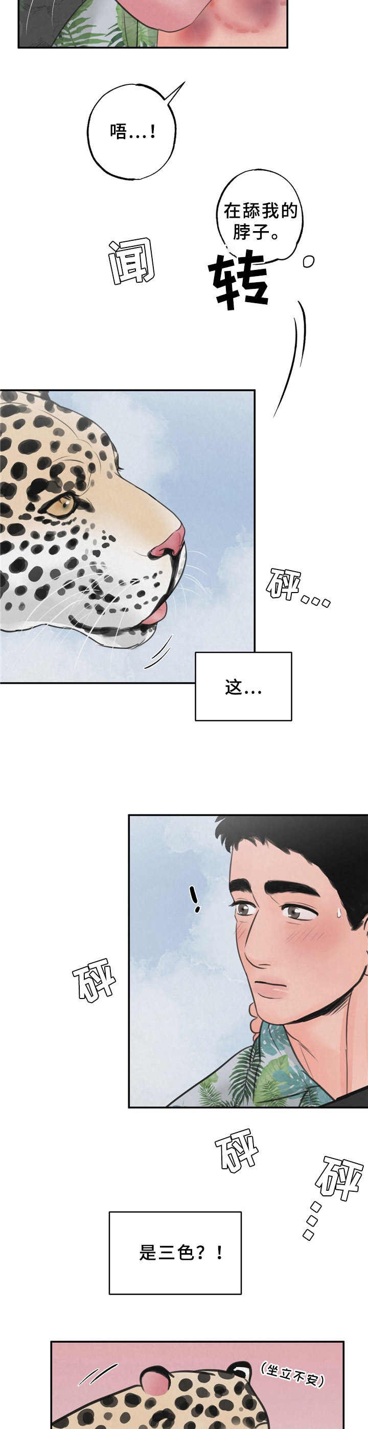 第8章：花豹