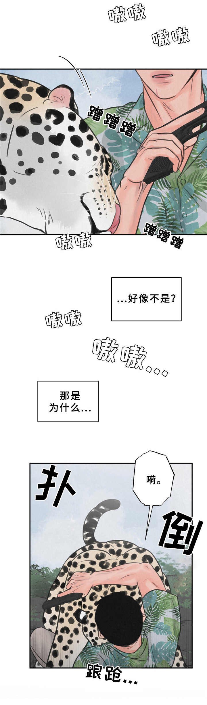 第8章：花豹