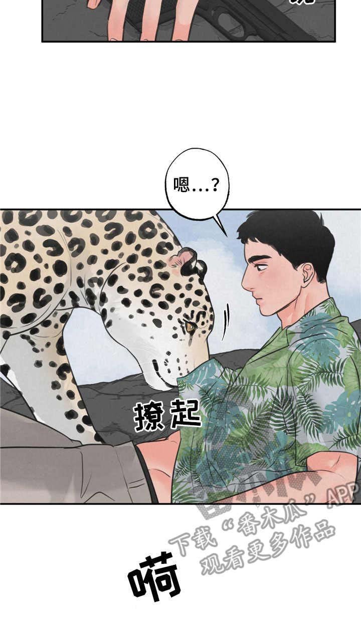 第9章：磨蹭