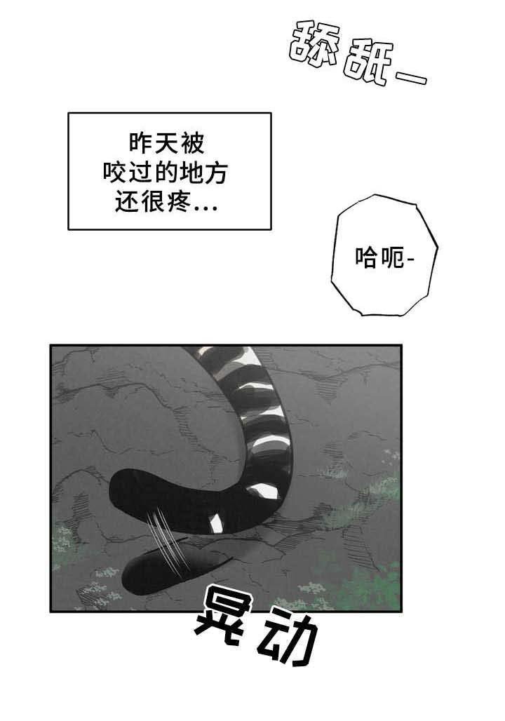 第9章：磨蹭