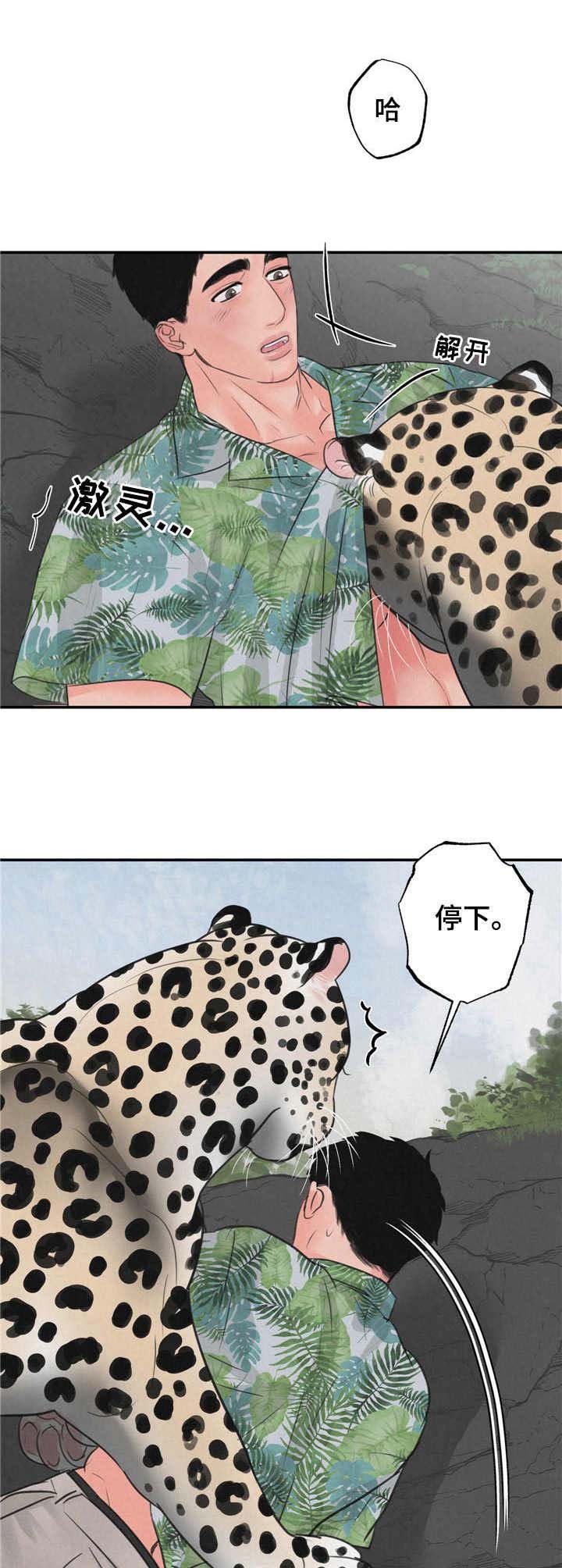 第9章：磨蹭