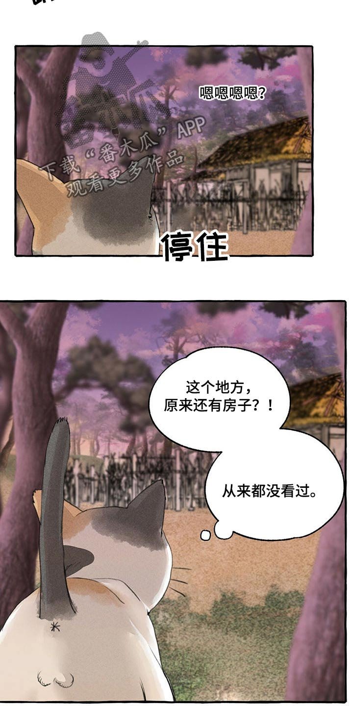 第113章：悲伤