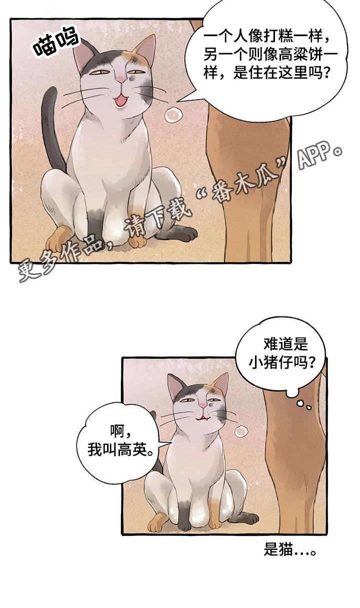 第113章：悲伤
