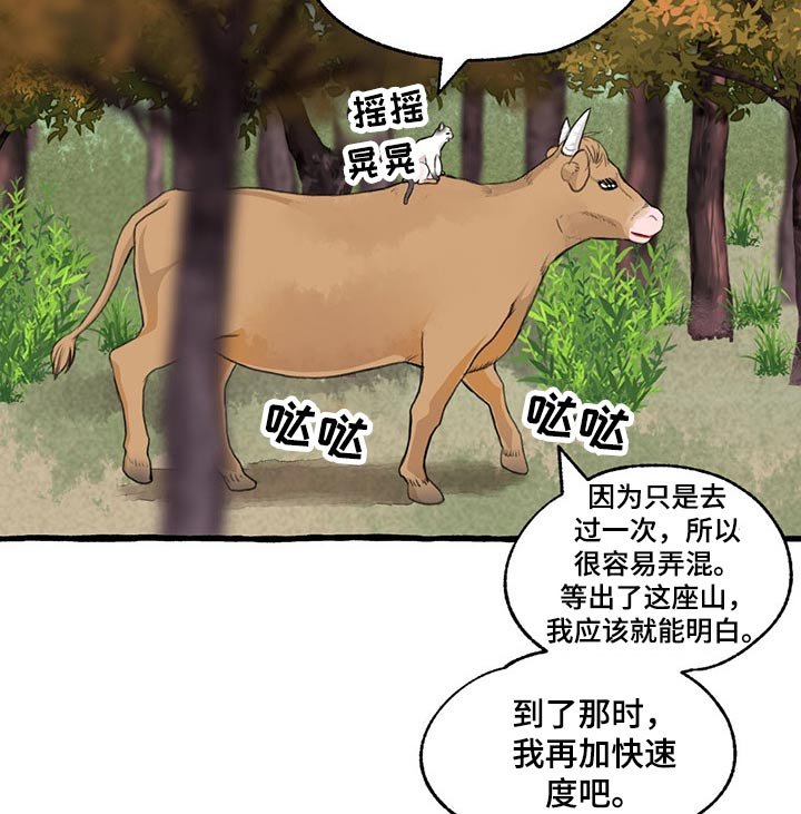 第115章：绝对