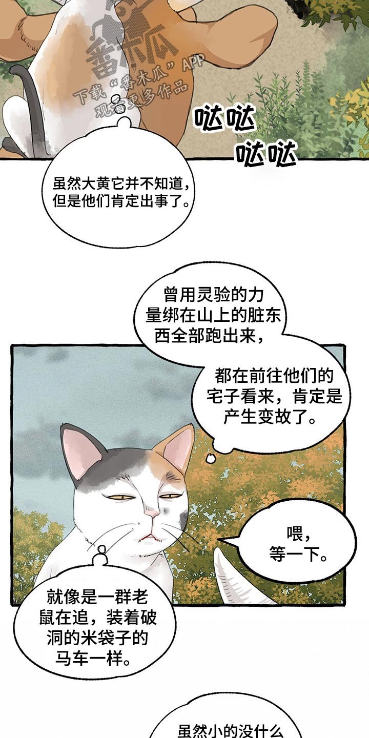 第115章：绝对