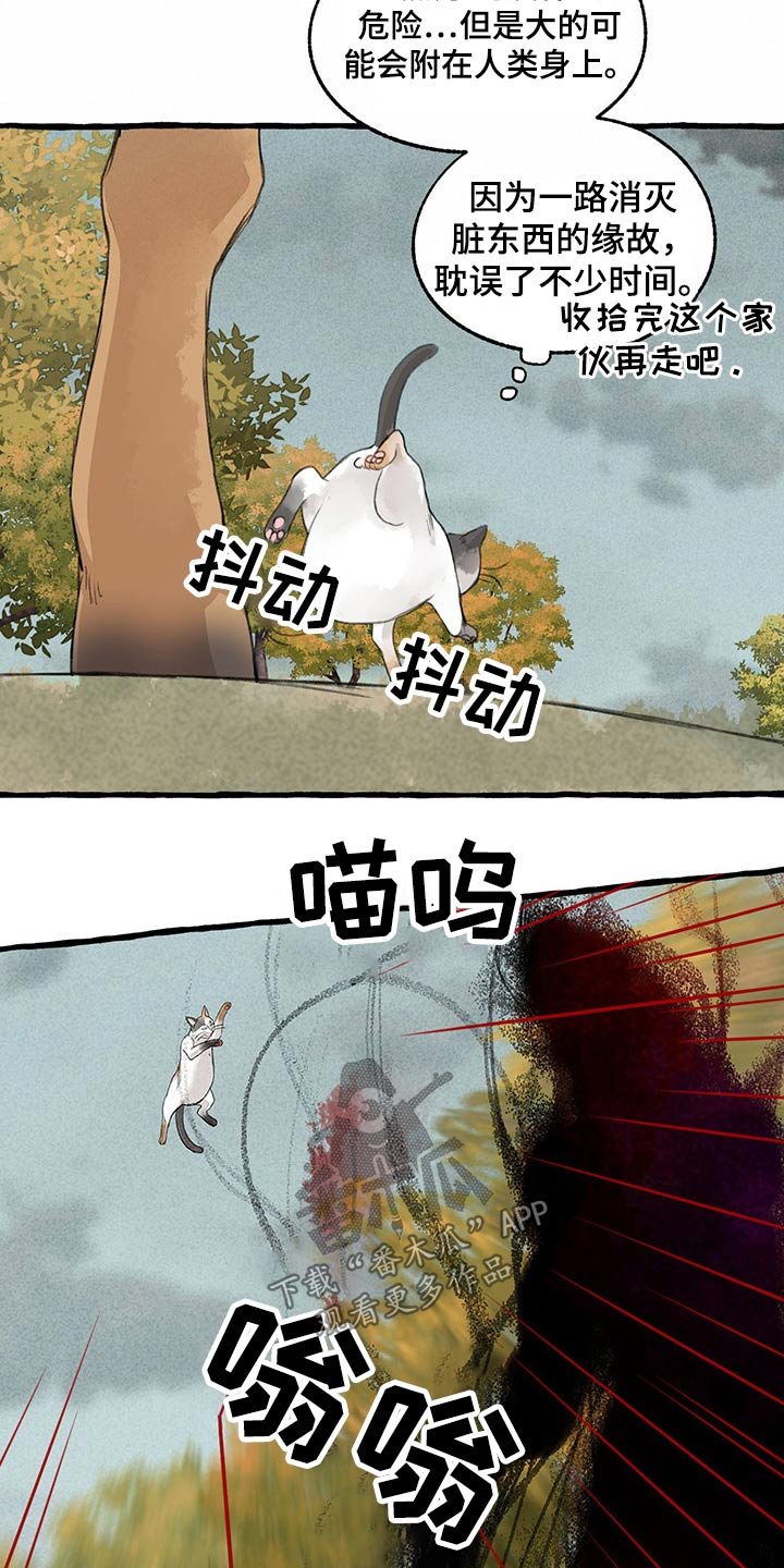 第115章：绝对