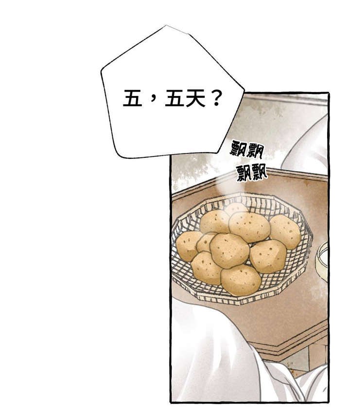第12章：5天