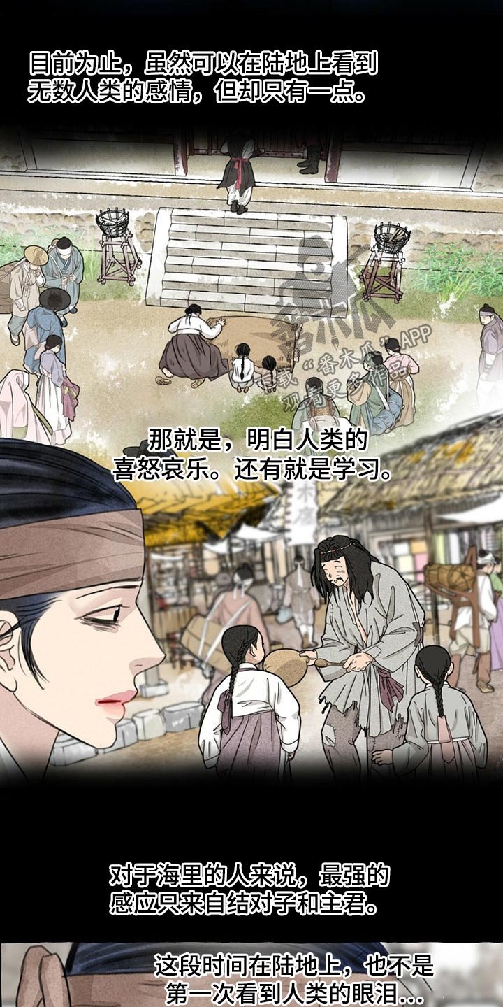 第122章：猫咪