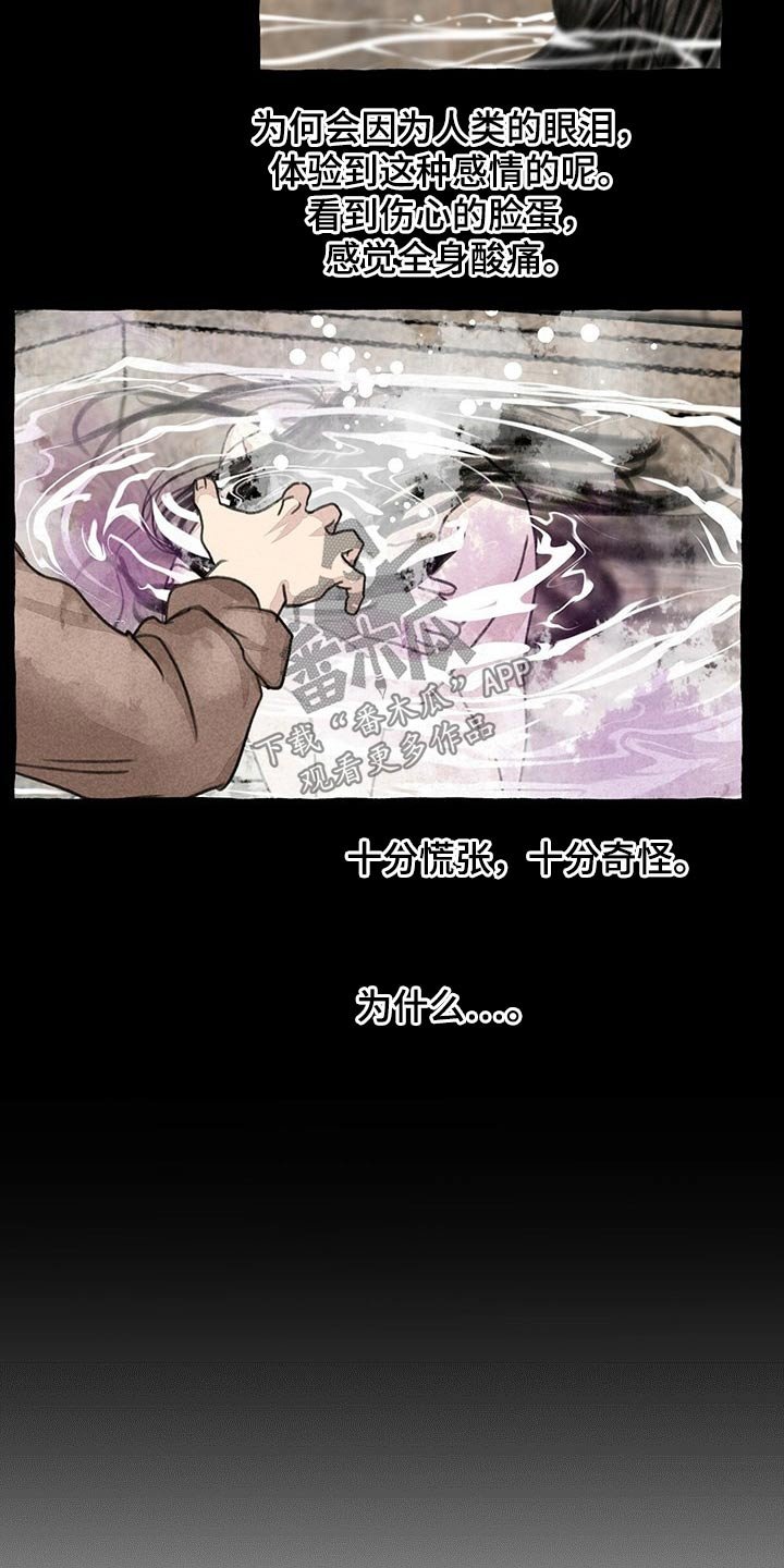 第122章：猫咪
