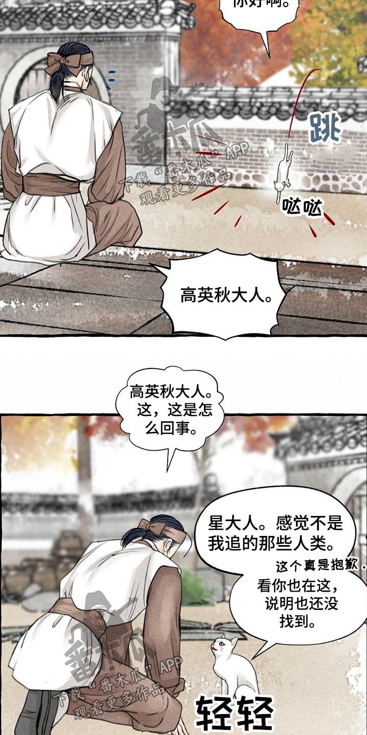 第122章：猫咪