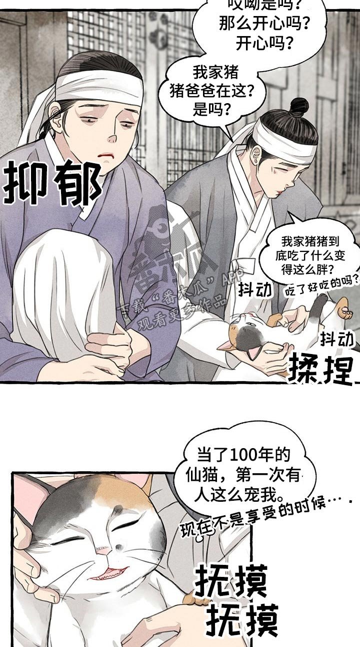 第122章：猫咪