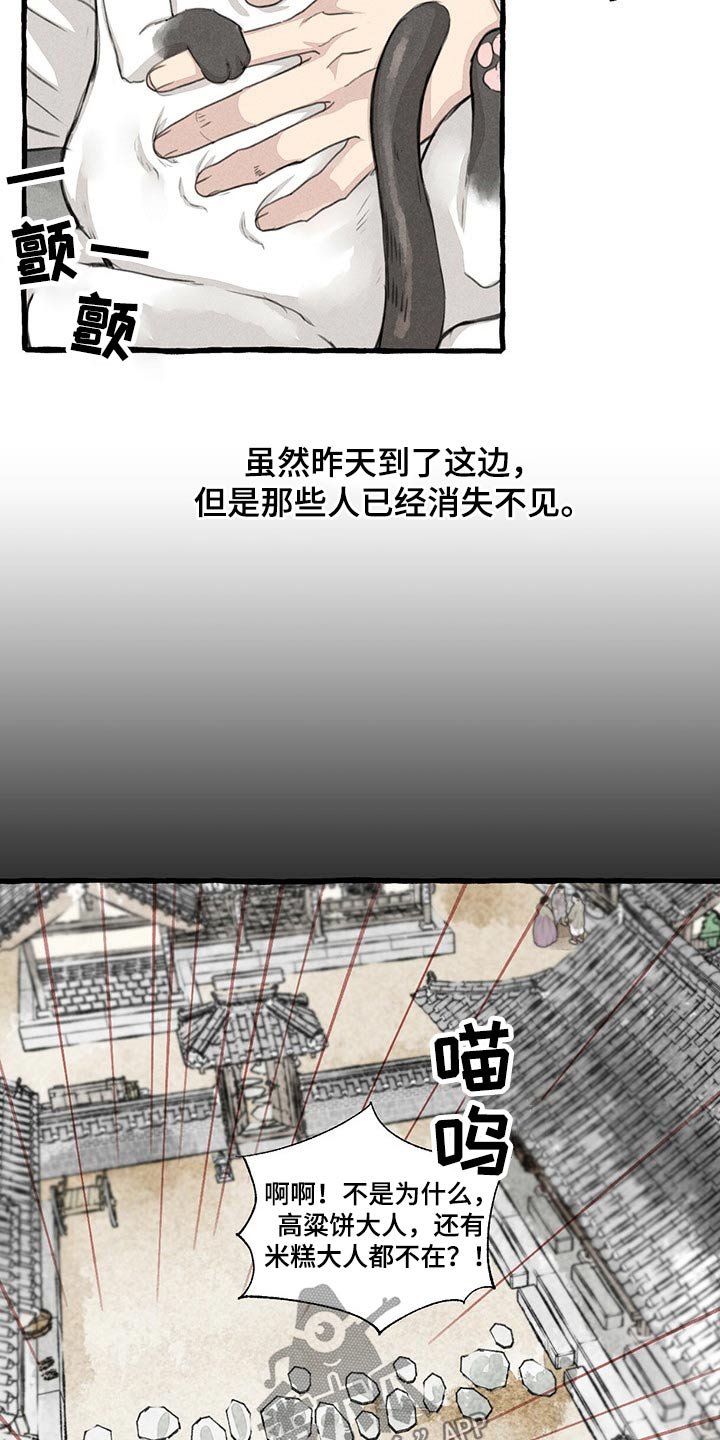 第122章：猫咪