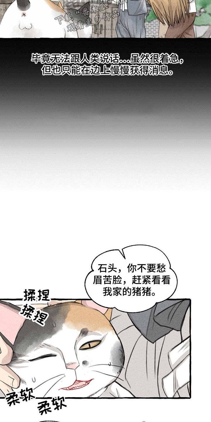 第122章：猫咪