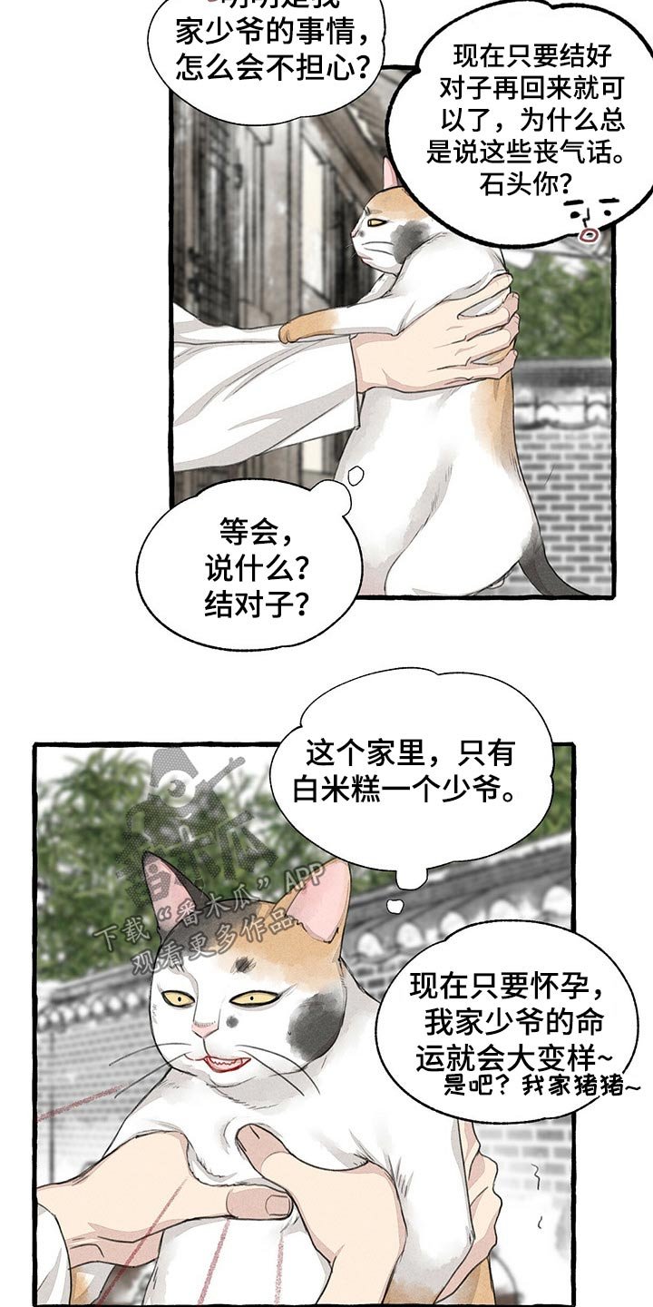 第122章：猫咪