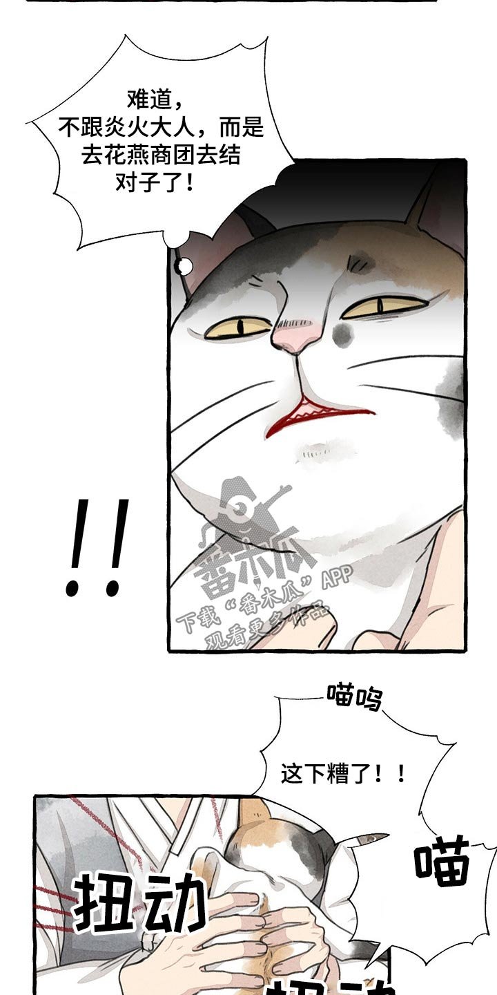 第122章：猫咪