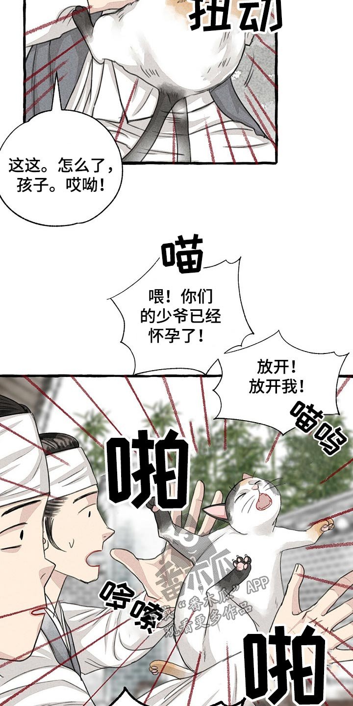 第122章：猫咪