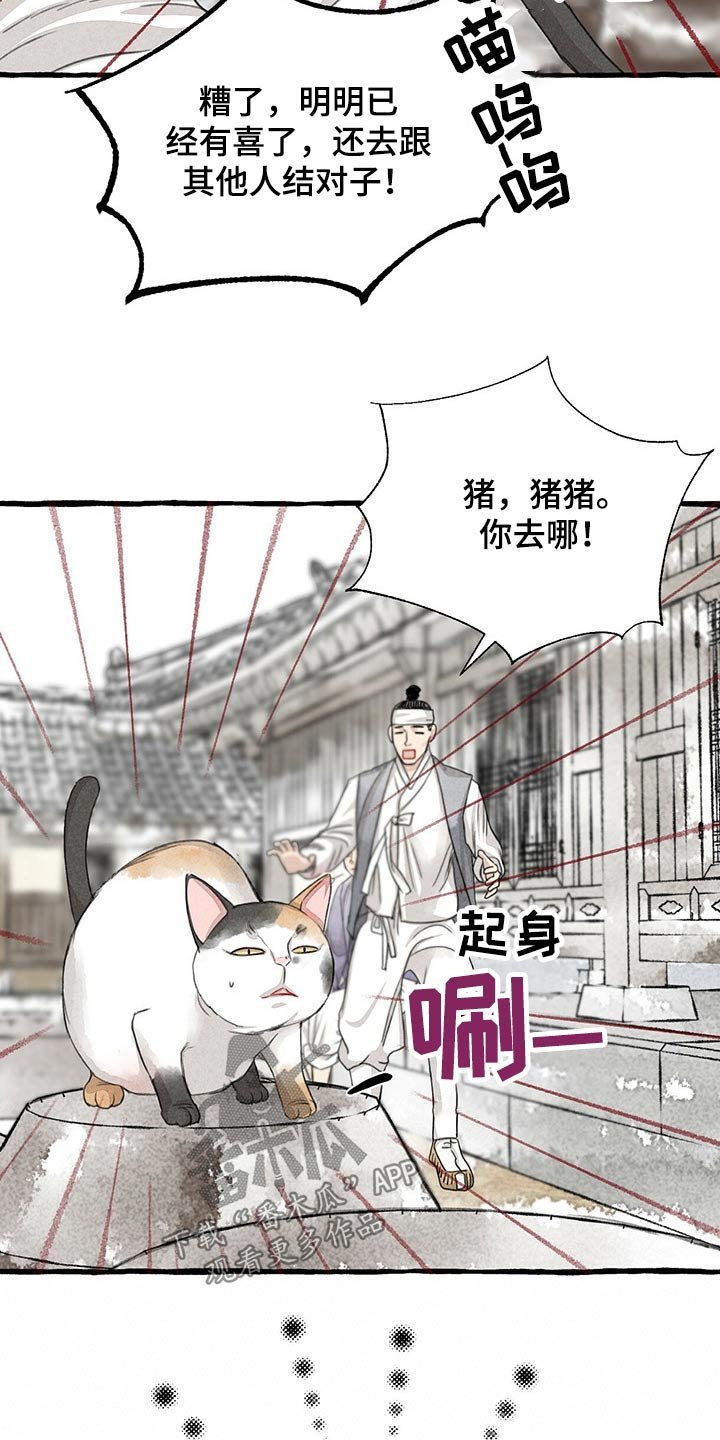 第122章：猫咪